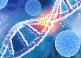 Archives of Clinical and Medical Case Reports