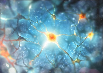 International Journal of Applied Biology and Pharmaceutical Technology