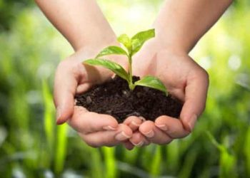 International Journal of Plant, Animal and Environmental Sciences